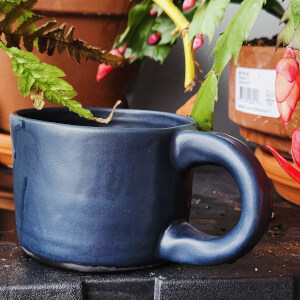 Pottery workshops